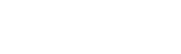 Skyfall logo